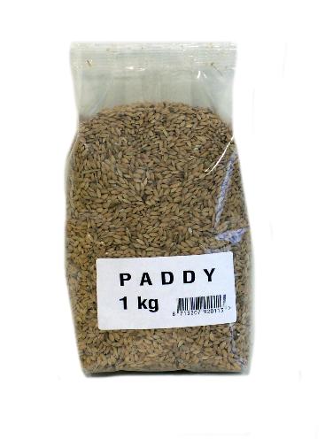 Paddy