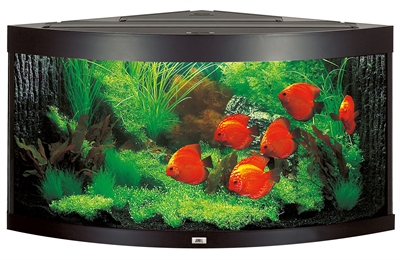 Aquarium Aquarium