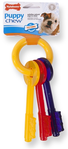 Nylabone durable chew puppy bijtsleutels product afbeelding