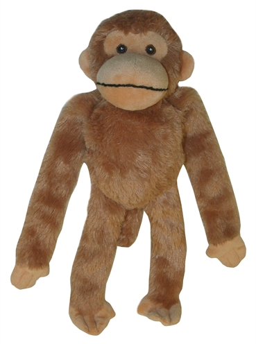 Multipet swinger chimpansee