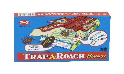 Hoy hoy traparoach product afbeelding