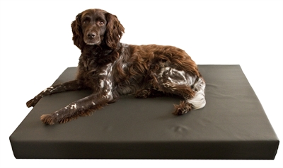 Hd Orthopedisch Honden Ligbed Grijs 100x75 Cm