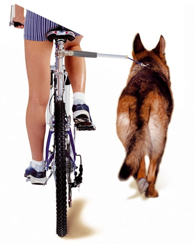 Camon walky dog fietsbeugel product afbeelding