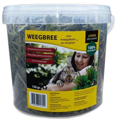 Weegbree product afbeelding