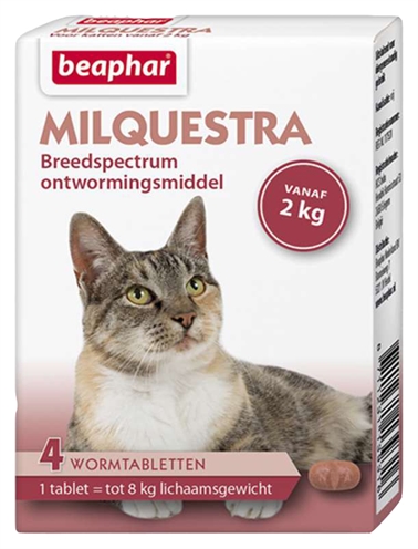 Beaphar milquestra kat product afbeelding