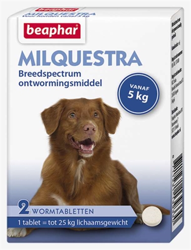 Beaphar milquestra hond product afbeelding