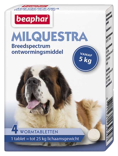 Beaphar milquestra hond product afbeelding