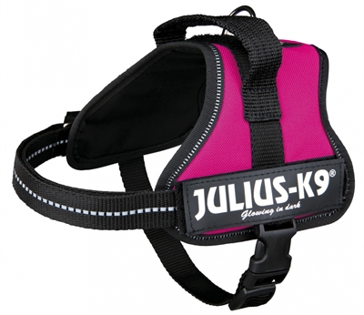 Julius k9 powerharnas / tuig voor labels fuchsia product afbeelding