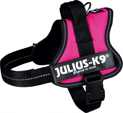 Julius k9 powerharnas / tuig voor labels fuchsia product afbeelding