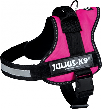 Julius k9 powerharnas / tuig voor labels fuchsia product afbeelding