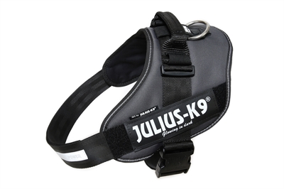 Julius k9 idc powerharnas / tuig voor labels antraciet product afbeelding