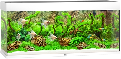Juwel aquarium rio 240 met led verlichting en filter wit product afbeelding