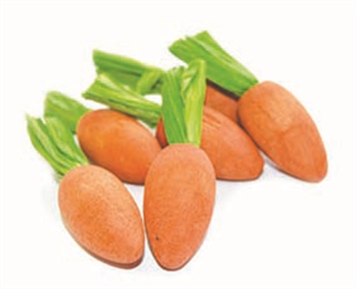 Happy pet carrot nibblers knaaghout product afbeelding