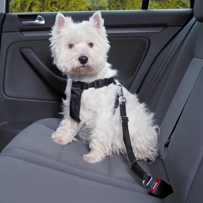 Trixie hondentuig auto zwart product afbeelding