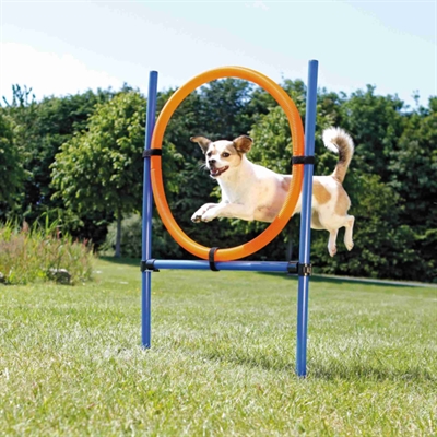 Trixie dog activity agility ring blauw / oranje product afbeelding