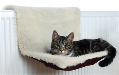Trixie radiatorhangmat pluche / velours creme / bruin product afbeelding