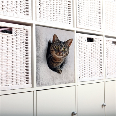 Trixie kattenmand kubus lichtgrijs product afbeelding