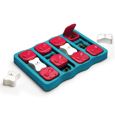 Dog brick turkoois / rood