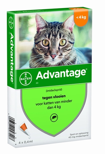 Bayer advantage kat 4 pipetten product afbeelding
