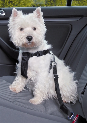 Trixie autotuig zwart product afbeelding
