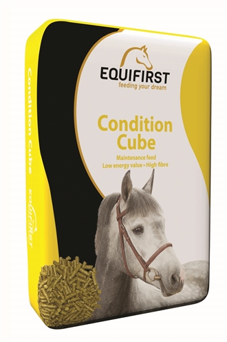 Equifirst condition cube