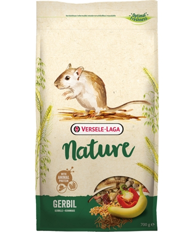 Verselelaga nature gerbil
