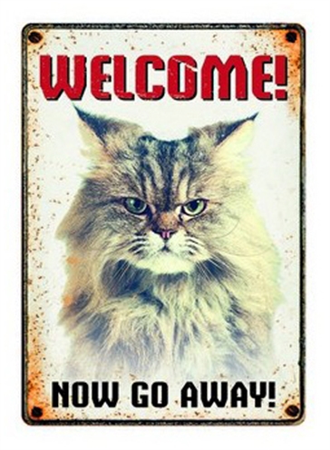 Plenty gifts waakbord blik grumpy cat product afbeelding