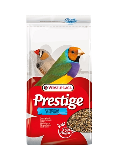 Prestige tropische vogel product afbeelding