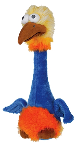 Happy pet bird brain struisvogel product afbeelding