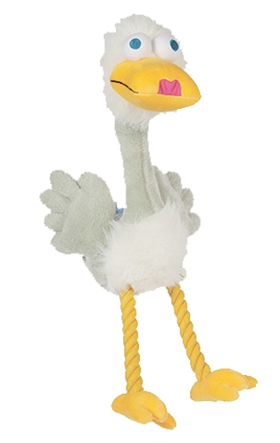 Happy pet bird brain zwaan product afbeelding