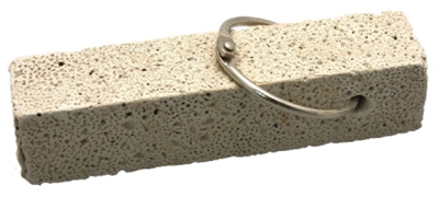Happy pet chinchilla nibbling block met kooihanger