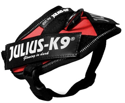 Julius K9 Power-Harnas/Tuig Nylon Rood 37 x 2 cm product afbeelding