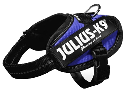 Julius K9 Power Harnastuig Nylon Blauw 43 X 2 julius k9 kopen in de aanbieding Julius K9 Power Harnastuig Nylon Blauw 43 X 2 julius k9 kopen in de aanbieding
