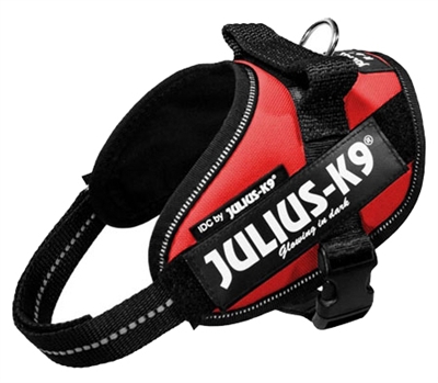 Julius K9 Power-Harnas/Tuig Nylon Rood 61 x 3 cm product afbeelding