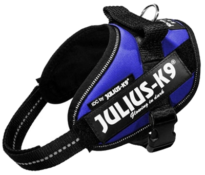 Julius K9 Power-Harnas/Tuig Nylon Blauw 53 x 2 cm product afbeelding