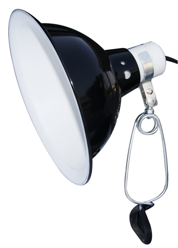 Komodo black dome clamp lamp fixture product afbeelding