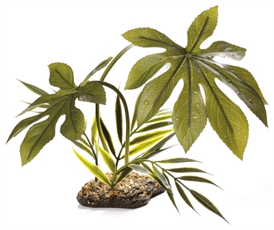 Komodo jungle canopy product afbeelding