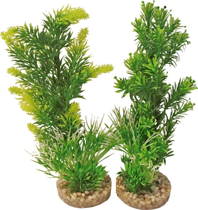 Aquarium plant 349701 product afbeelding