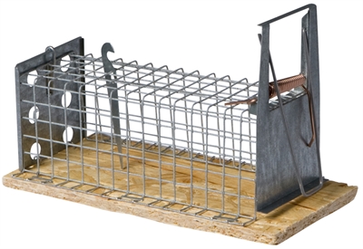 Luna houten muizenval recht 1kleps product afbeelding