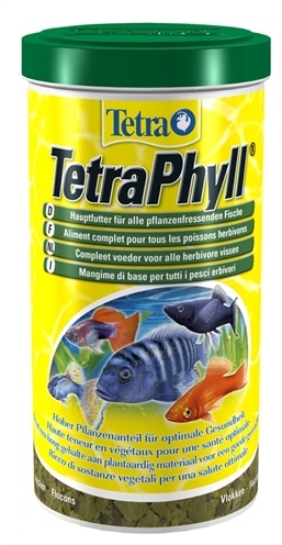 Tetra phyll product afbeelding