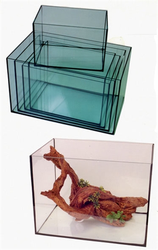 Gelijmd aquarium zwarte kitnaden product afbeelding