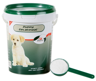 Primeval gelatinaat puppy product afbeelding
