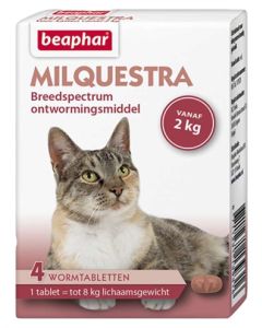 Beaphar milquestra kat