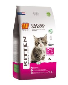 Biofood cat kitten pregnant & nursing