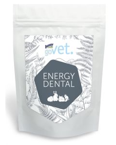 Bunny nature govet energy dental