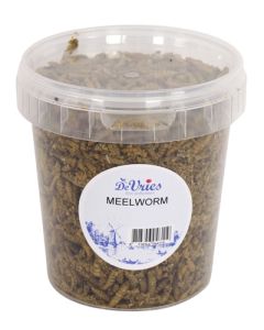 De vries meelworm black soldier fly