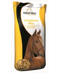 Equifirst condition mix