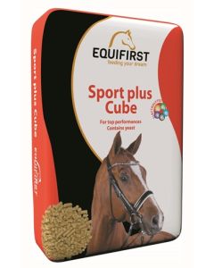 Equifirst sport plus cube