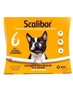 Intervet scalibor protectorband
