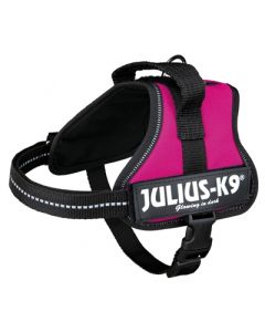 Julius k9 powerharnas / tuig voor labels fuchsia